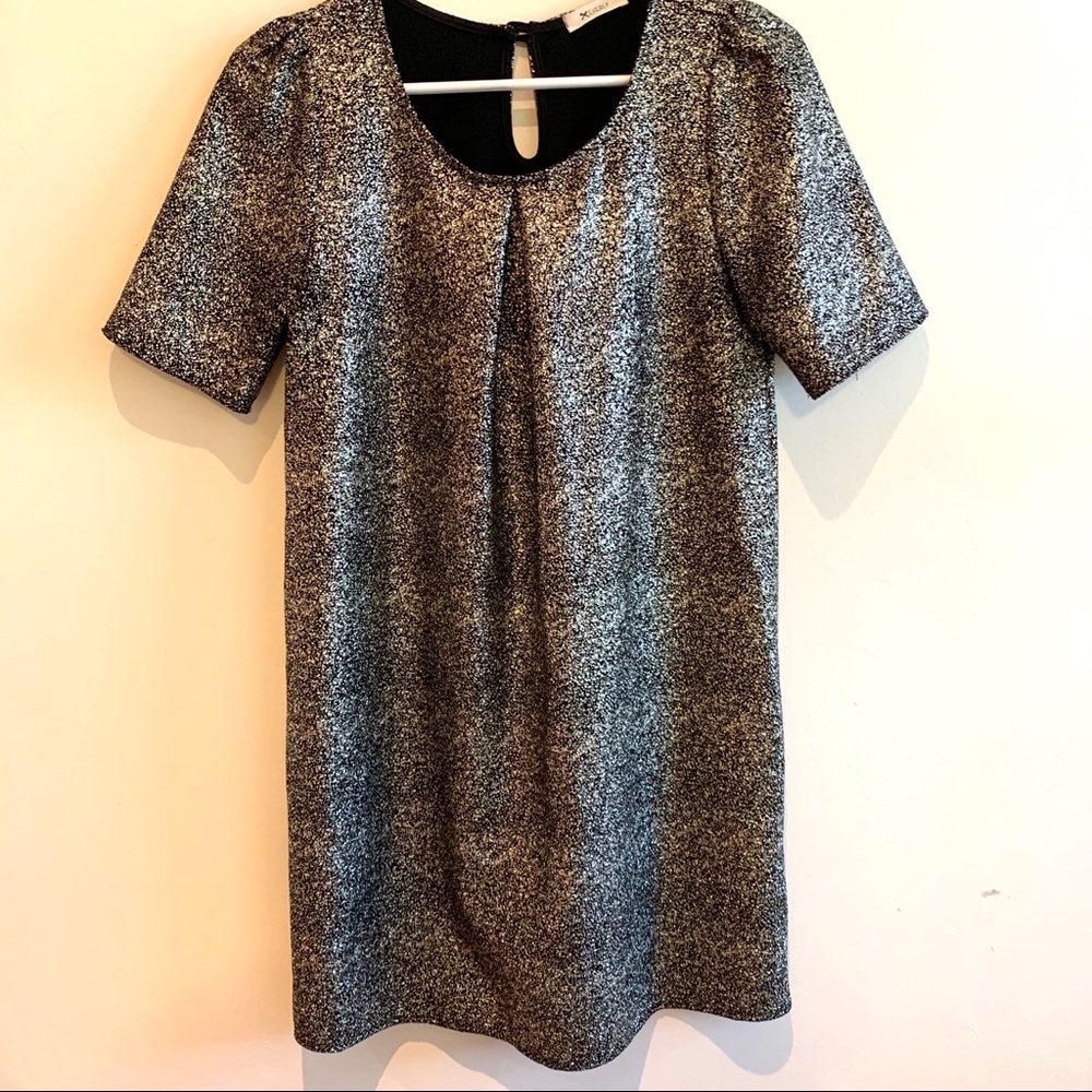 Sparkly Short Sleeve Dress